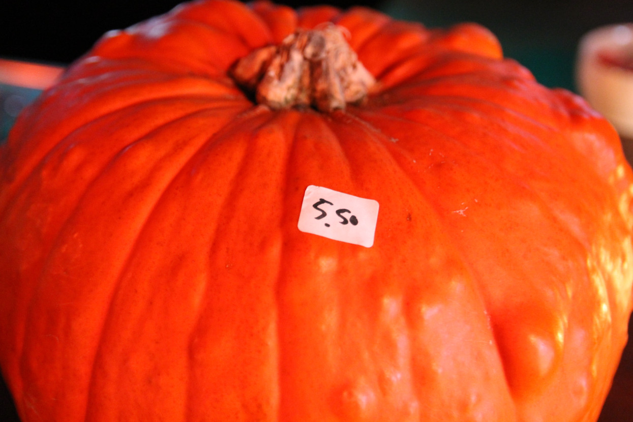 Pumpkin Carving (with dinner)