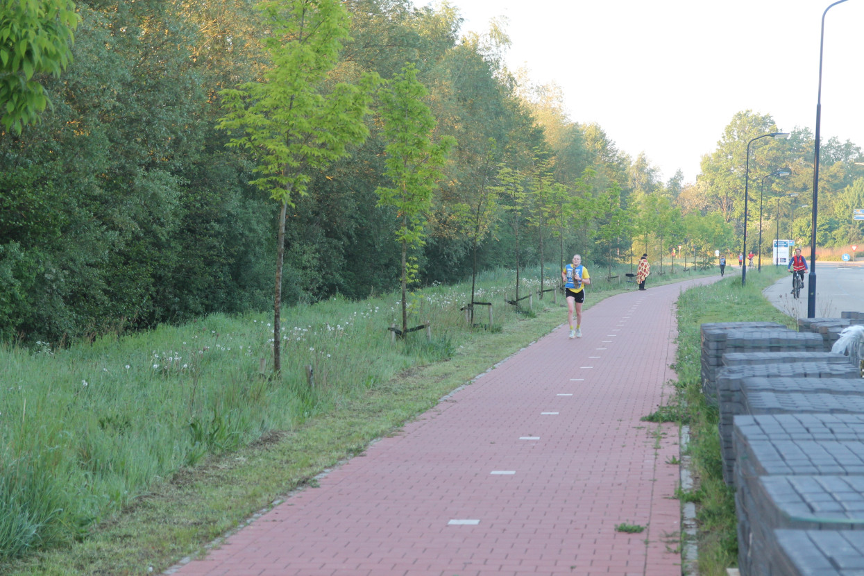 Batavierenrace